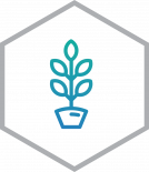 supplement_Icon-2